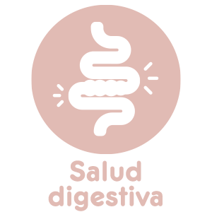 Icono_Salud_digestiva