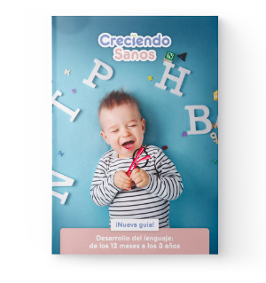 Mockup_Guia_DesarrolloLenguaje
