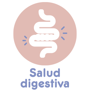 Icono Salud digestiva