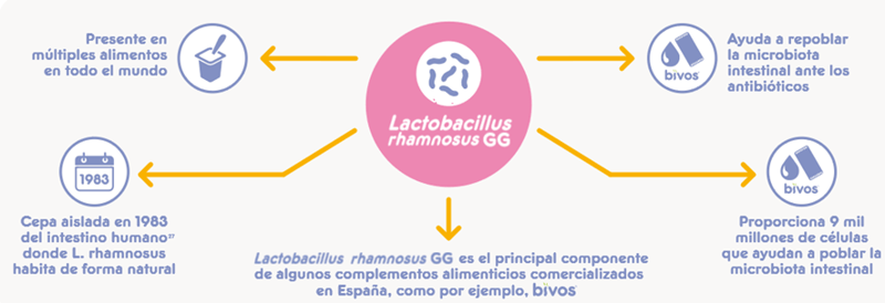 microbiota infantil