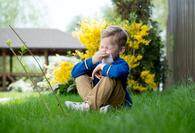 alergia infantil